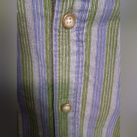 BDG Men's Corduroy Green and Blue Striped Shirt_Large - Picture 7 of 9